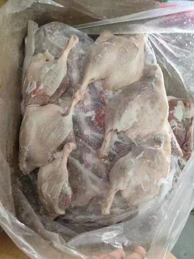 山东鸭边腿肉质鲜美厂家一手货源量大直发欢迎咨询采购