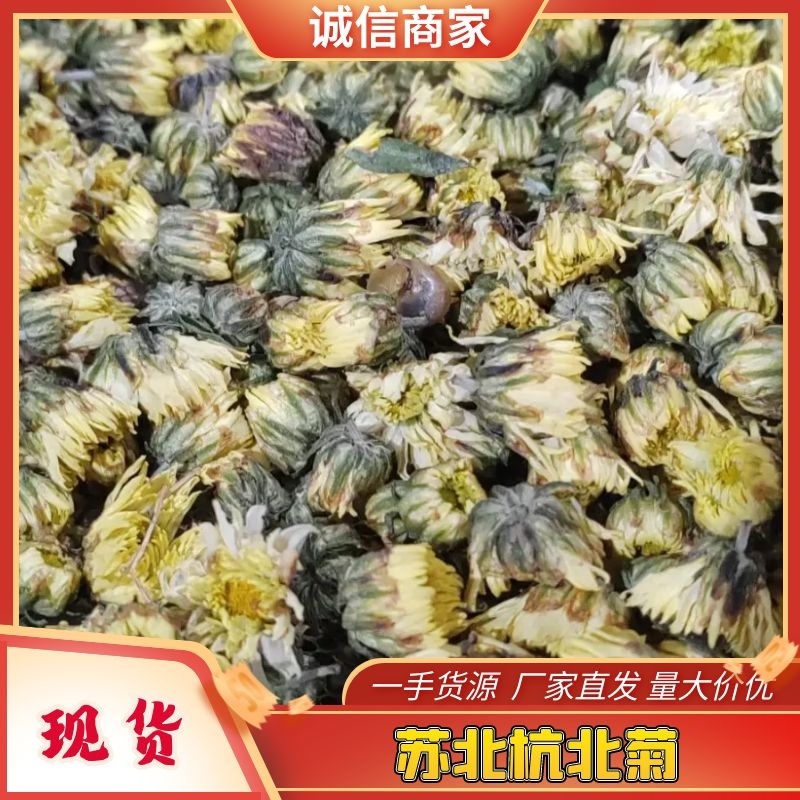 苏北杭北菊大量上市货源充足质量保证