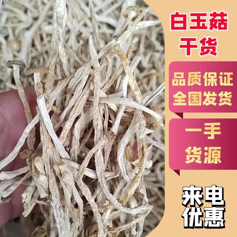 干白玉菇海鲜菇福建晒干白玉菇产地直供代发全国一条龙服务电联
