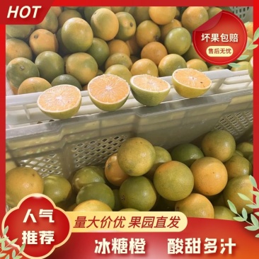 冰糖橙手掰橙供应团购电商小果一件代发