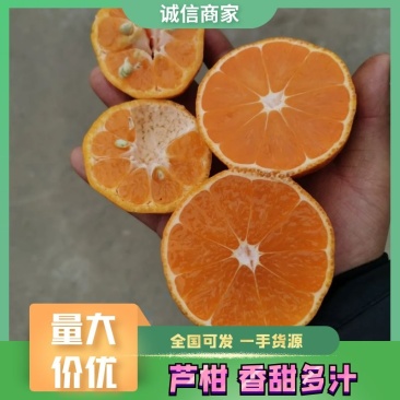 碰柑芦柑纯甜供应社区多多买菜美团优选，一件代发