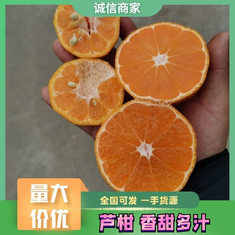 碰柑芦柑纯甜供应社区多多买菜美团优选，一件代发