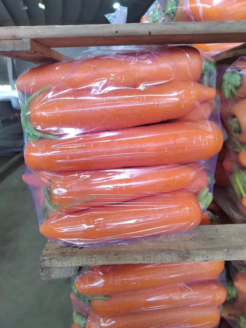 316水洗胡萝卜全苗半苗一手货源可按需包装一条龙服务