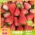 贾汪区草莓奶油草莓妙香宁玉规格品种齐全按需加工