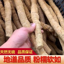 【野生牛大力中药材】来自深山老林的现挖现卖优等品质量大