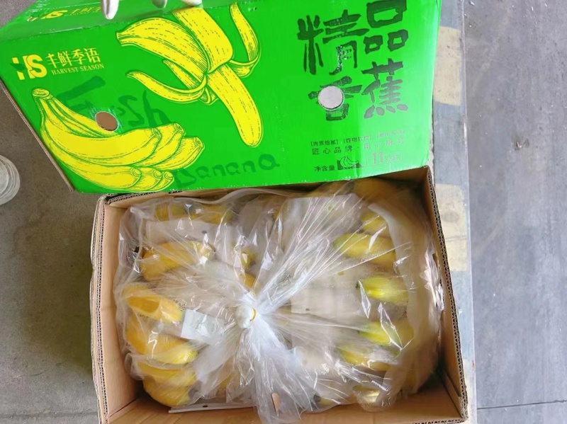 全金黄进口香蕉，质优，价廉: