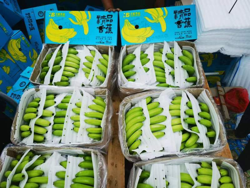 广西索道