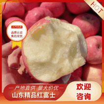 山东红富士苹果纸袋膜袋红富士基地直发支持一件代发