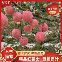山东红富士苹果，支持一件代发，可承接商超档口批发按需包装