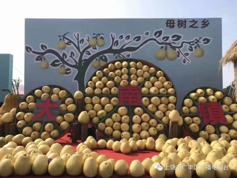 正宗马家柚原产地，产地直发，保质保量，欢迎前来选购