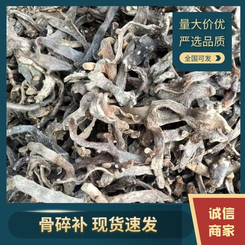 贵州骨碎补一手货源纯野生供货稳定产地供应欢迎各位咨询