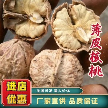 【热卖】精品漾濞大泡薄皮核桃，果仁香甜，保质诚信经营欢迎