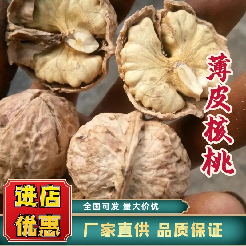 【热卖】精品漾濞大泡薄皮核桃，果仁香甜，保质诚信经营欢迎