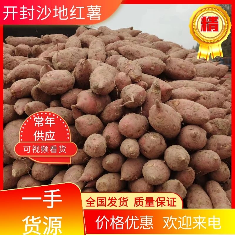 【推荐】河南开封沙地红薯，西瓜红红薯，产地货源，欢迎来电