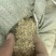 河南优质花生秧细粉常年供货品质保证价格优惠全国发货
