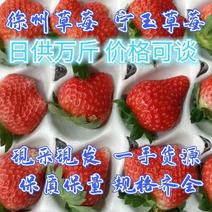 【宁玉奶油草莓】徐州宁玉草莓长期供货支持视频看货代发