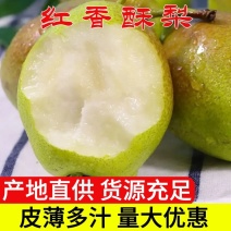 红香酥梨，规格齐全一手货源量大从优代发全国