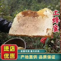 湖南野生土蜂蜜一年取一次精品土蜂蜜品质保证欢迎来电