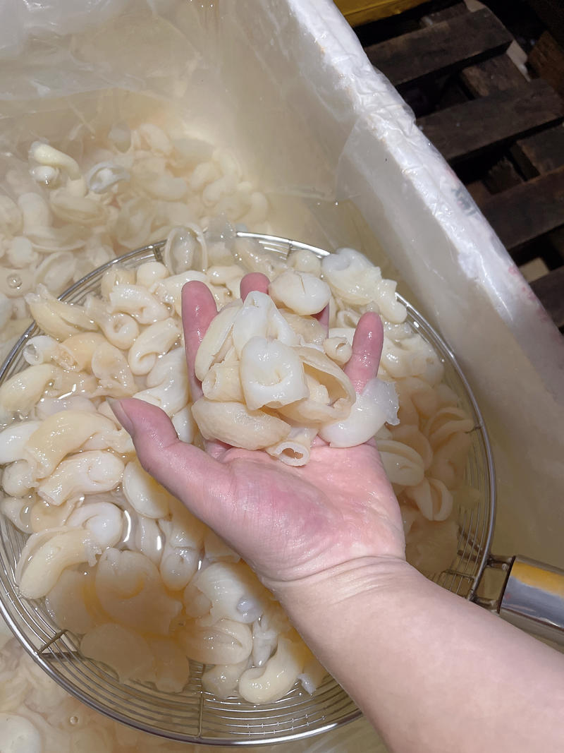 福州青斑鱼肚新鲜冷冻海鲜水产特色货源稳定对接商超