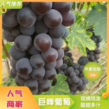 辽宁锦州北镇巨峰葡萄颗粒大口感好产地直供价格公道欢迎电话