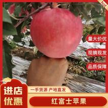 天水红富士苹果，产地直发，产品保值保量到货无忧