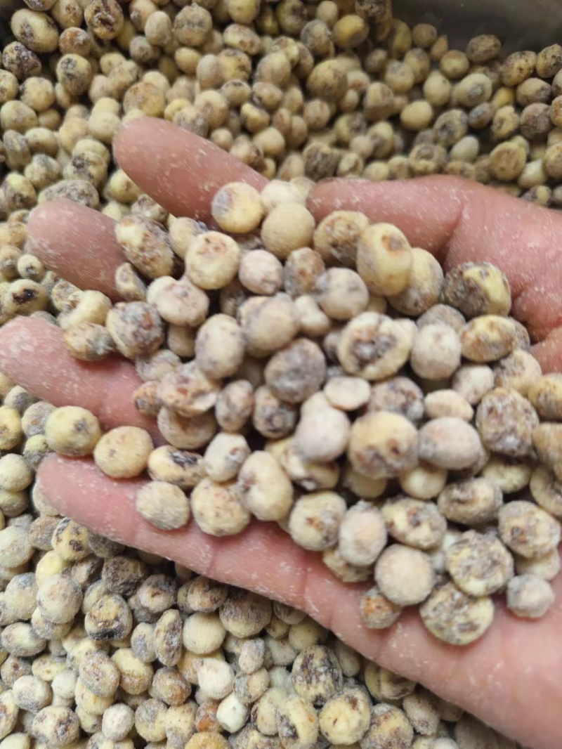 新疆精品油莎豆，颗颗饱满大量供应产地直发，可视频看货！