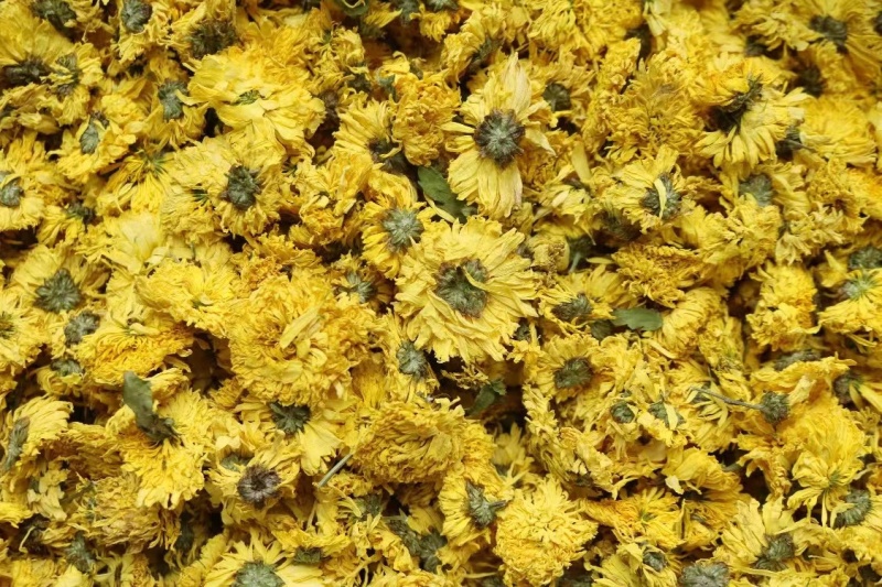 徽州皇菊罐装黄花茶胎菊婺源小黄菊花茶