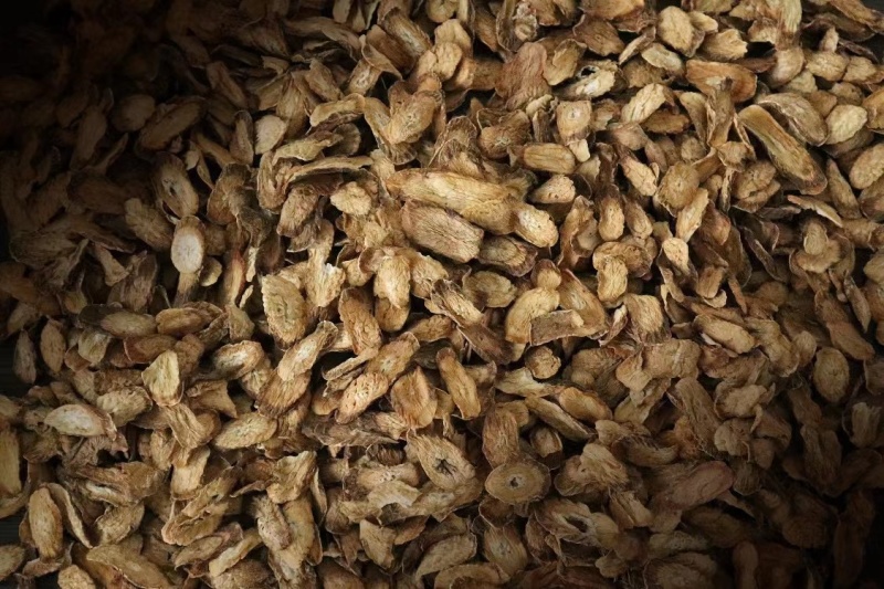 牛蒡根茶牛蒡茶中药材正品新鲜黄金牛旁干牛棒片榜磅