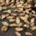 牛蒡根茶牛蒡茶中药材正品新鲜黄金牛旁干牛棒片榜磅