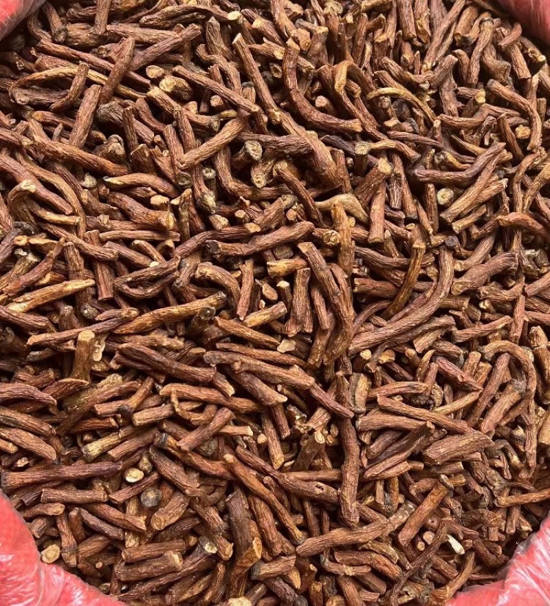 特级野生蒲公英根茶长白山炒浦公英的根中药材