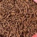 特级野生蒲公英根茶长白山炒浦公英的根中药材