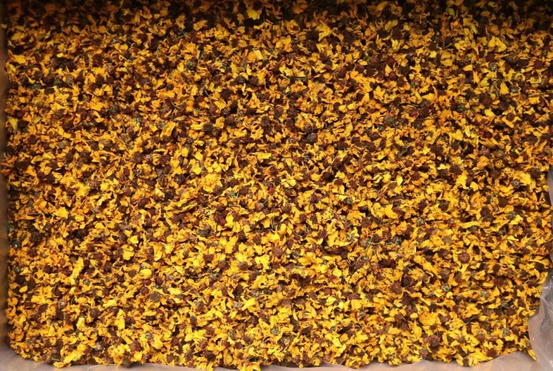 昆仑雪菊新疆特产正品特级天山雪菊花茶胎菊野菊花野生