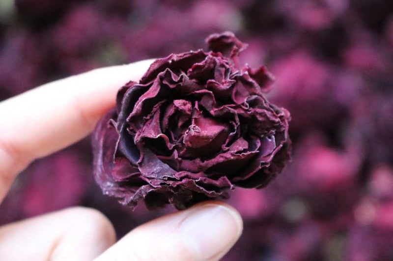 冻干墨红玫瑰花茶云南重瓣红玫瑰花冠王一朵一杯滋补泡水养生