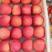 辽宁绥中精品寒富苹果大量有货个头均匀颜色全红口感脆甜