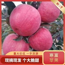 【红富士苹果】大量上市了个大皮毛亮颜色全红口感脆甜大量有货