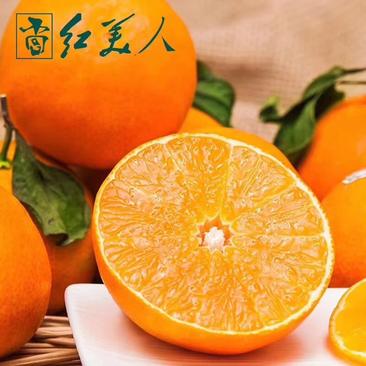 福建漳州红美人果冻橙爱媛38号大量上市对接电商市场