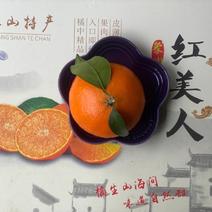 福建红美人柑橘果冻橙货源充足稳定提供各种包装一条龙
