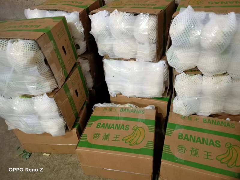 陕西精品菜花一手货源产地直发货源充足欢迎订购