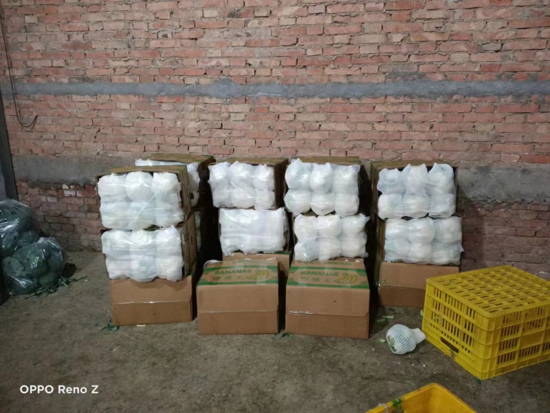 陕西精品菜花一手货源产地直发货源充足欢迎订购
