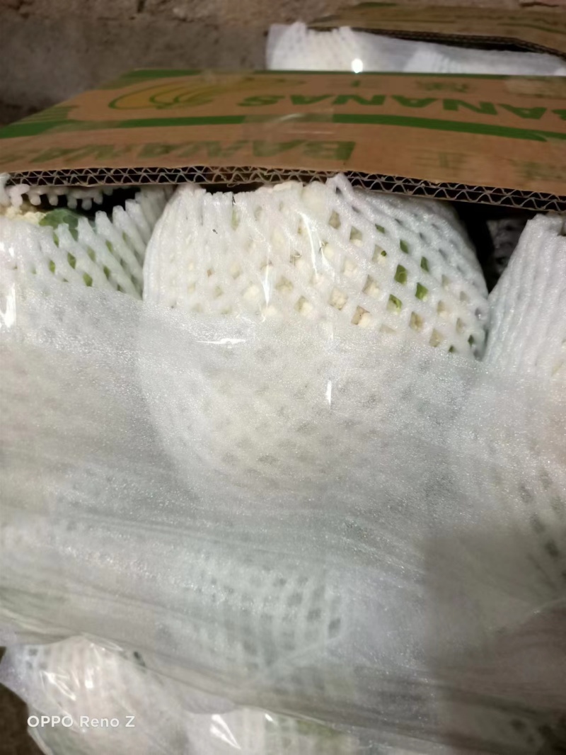 陕西精品菜花一手货源产地直发货源充足欢迎订购