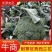 精品西兰花产地直发品质保证量大从优欢迎联系