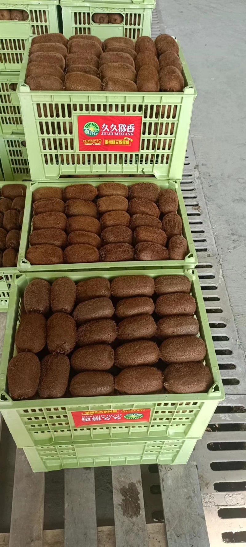 【牛商】优质精品贵长猕猴桃果型好，口感好欢迎致电合作