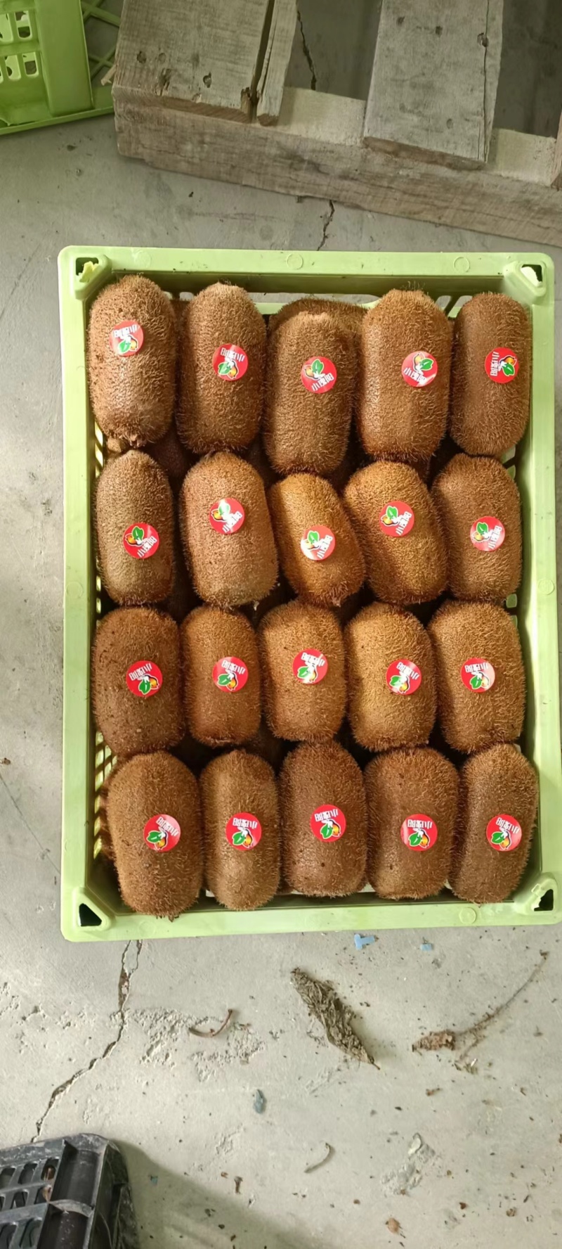 【牛商】优质精品贵长猕猴桃果型好，口感好欢迎致电合作