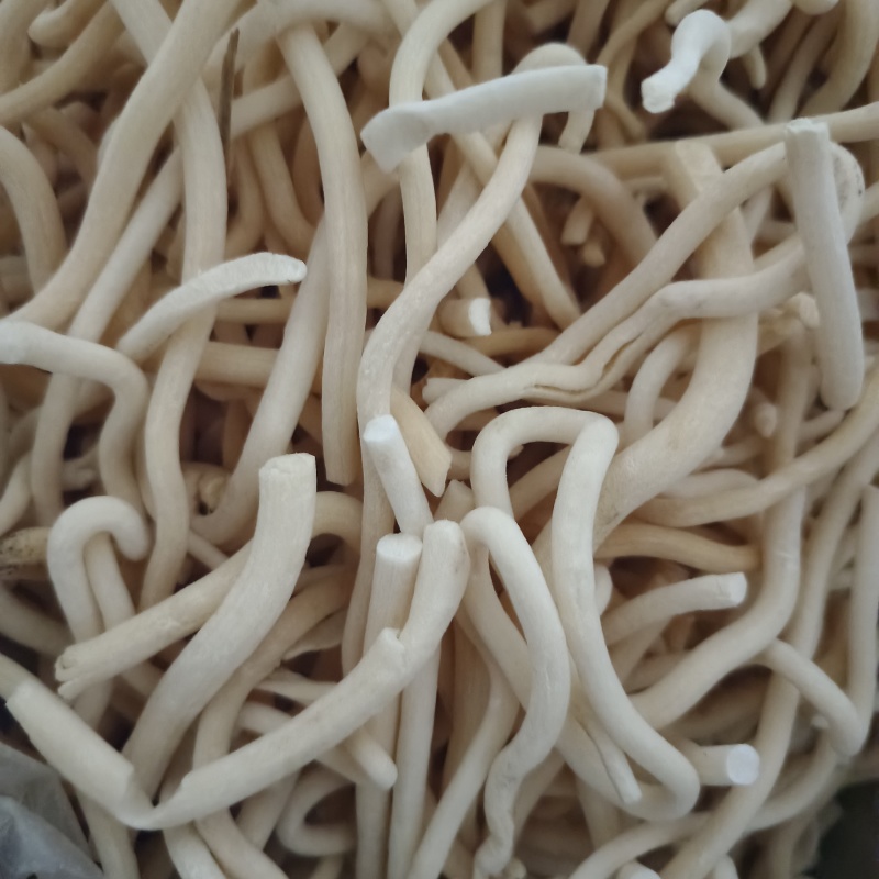 通草新货小通草道地药材品种齐全中药材批发供应