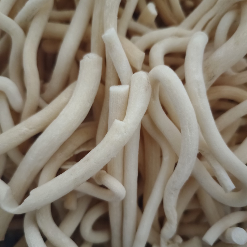 通草新货小通草道地药材品种齐全中药材批发供应