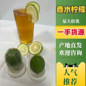 广东江门香水柠檬一级果产地直发货源充足欢迎来电咨询