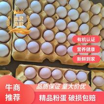 沧县鸡蛋，工厂直销，精品粉蛋，品质好，价格低欢迎咨询