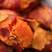 西瓜红山东红薯，烟薯25产地直销，货源充足，代发全国