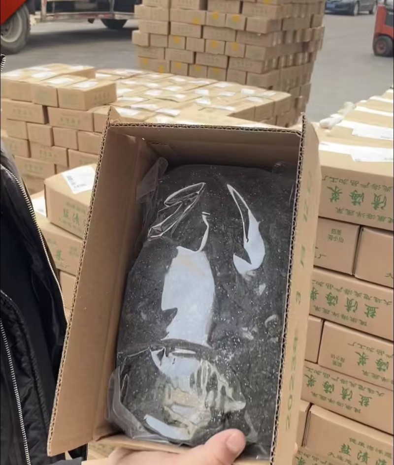 辽宁精品裙带菜鲜嫩不碎产地直供质量保证欢迎咨询