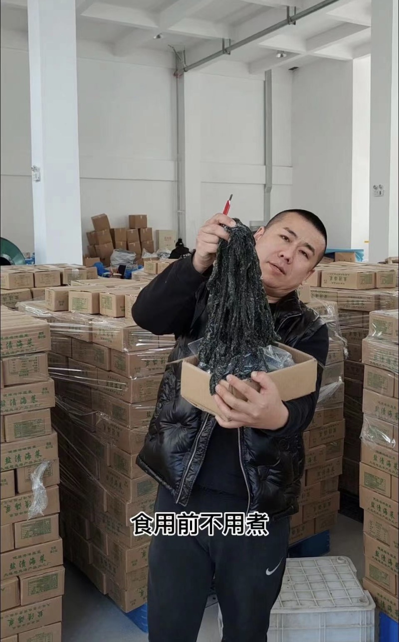 辽宁精品裙带菜鲜嫩不碎产地直供质量保证欢迎咨询